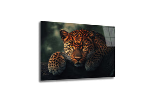 "Vahşi Asalet" Leopar Portresi Modern Cam Tablo